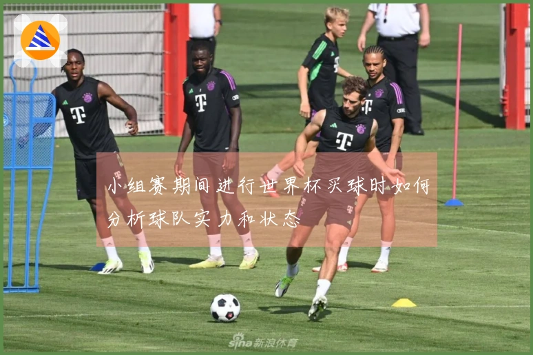 小组赛期间进行世界杯买球时如何分析球队实力和状态