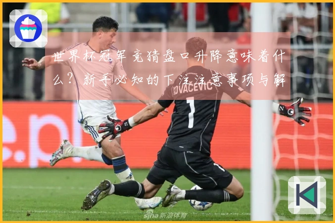 世界杯冠军竞猜盘口升降意味着什么？新手必知的下注注意事项与解读技巧