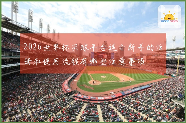 2026世界杯买球平台适合新手的注册和使用流程有哪些注意事项